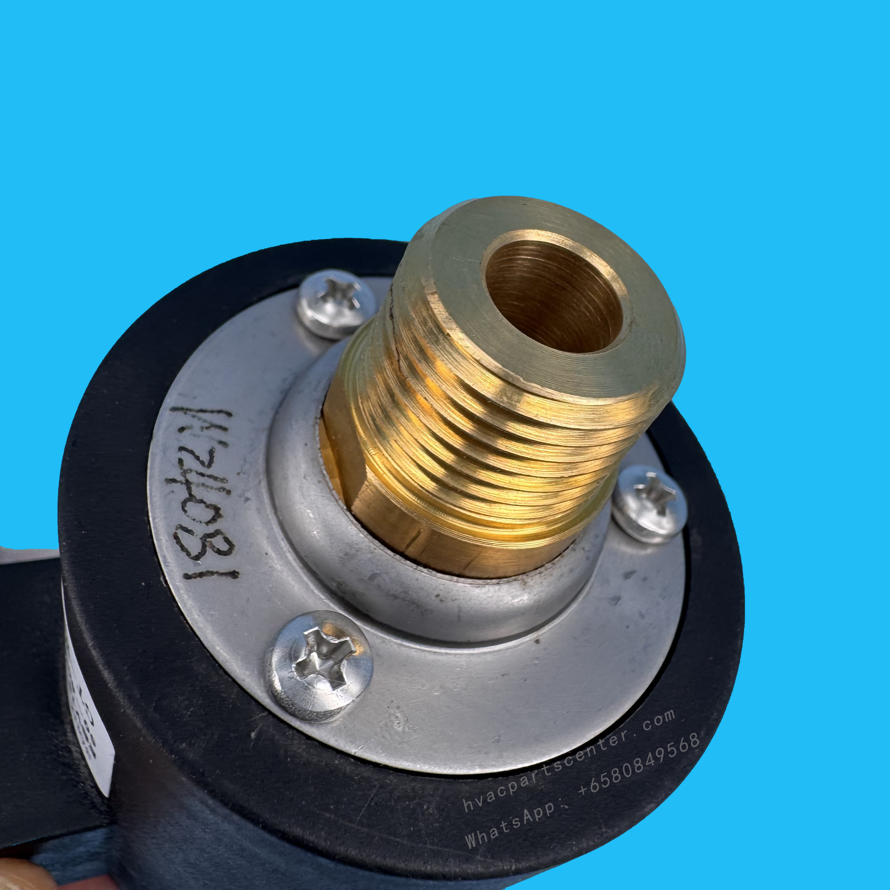 30HX-410-332 Oil Pump | Carrier Screw Chiller Lubrication Pump (115V, 120W)