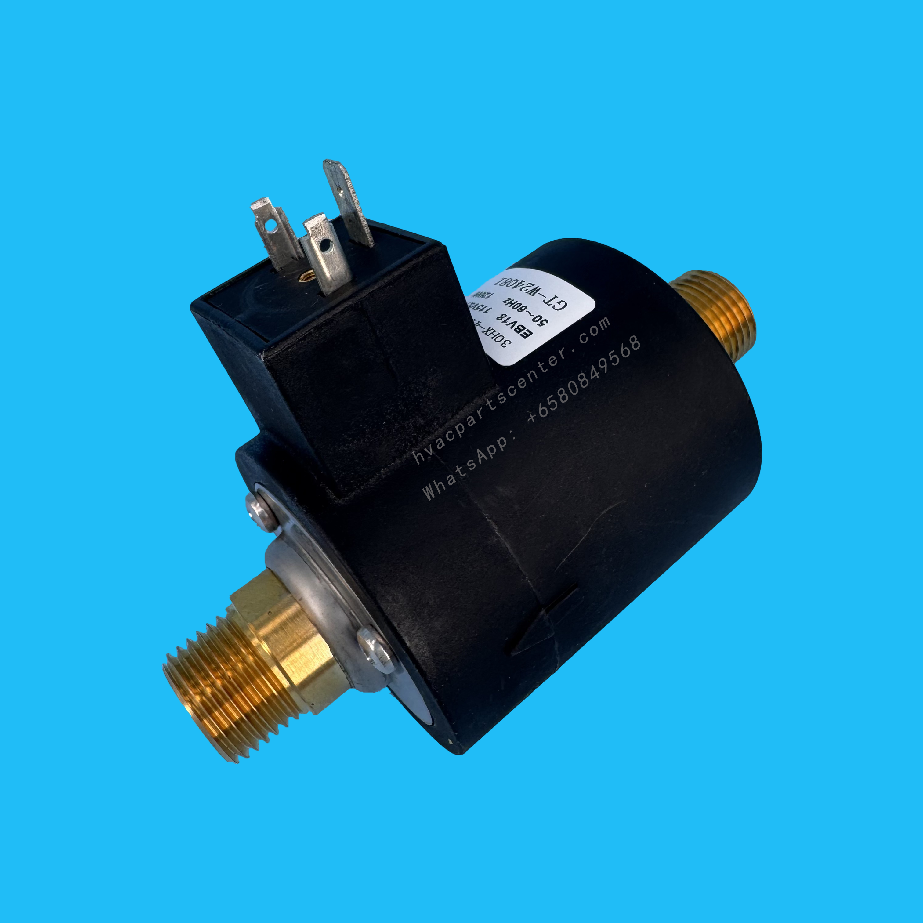 30HX-410-332 Oil Pump | Carrier Screw Chiller Lubrication Pump (115V, 120W)